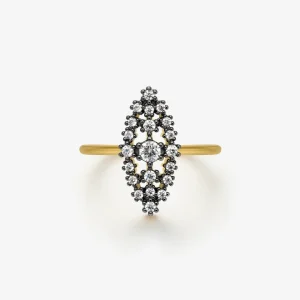 Anillo Mica