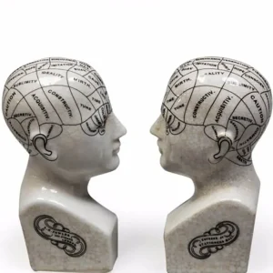 Soportes para libros Succubus Home con cabeza de frenología